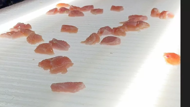 Laitram SMART Sorter Chicken Nuggets Poultry