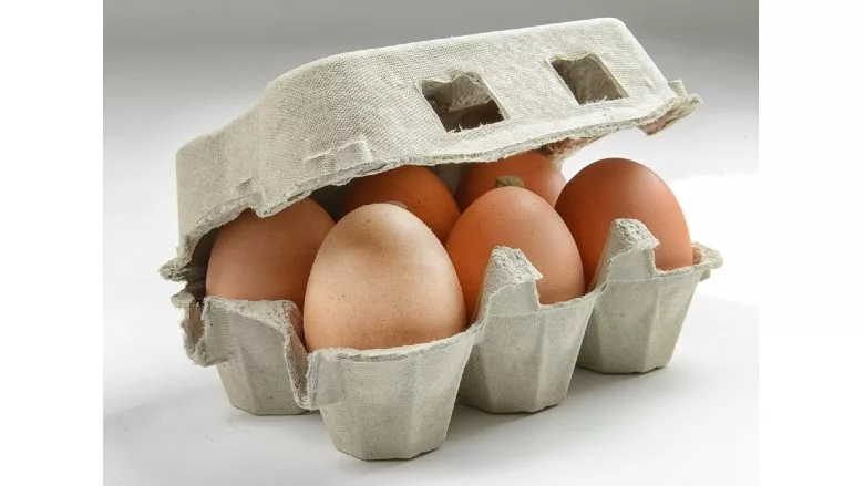 Carton of eggs