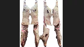 High-yield vs. low-yield beef carcasses