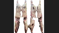 High-yield vs. low-yield beef carcasses