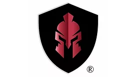 Praesidio Consulting logo