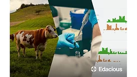 Sequence from a cow in pasture to lab measurements to software reporting tools by Edacious