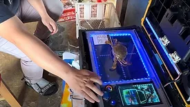 CrabScan360