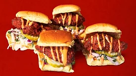 Mini Sliders