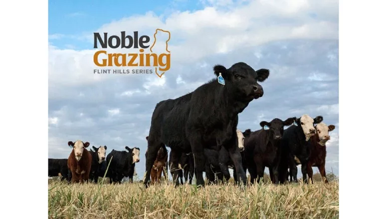 Noble Grazing: Flint Hills Series