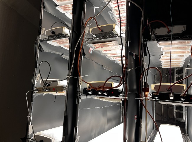 Bacon in different types of packaging in research cooler