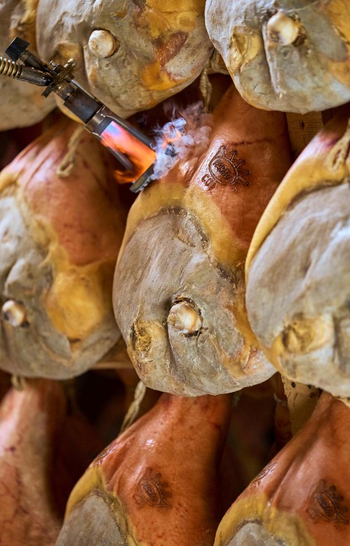 Prosciutto