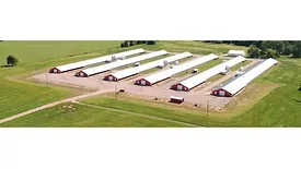 Wayne-Sanderson Farms chicken farm
