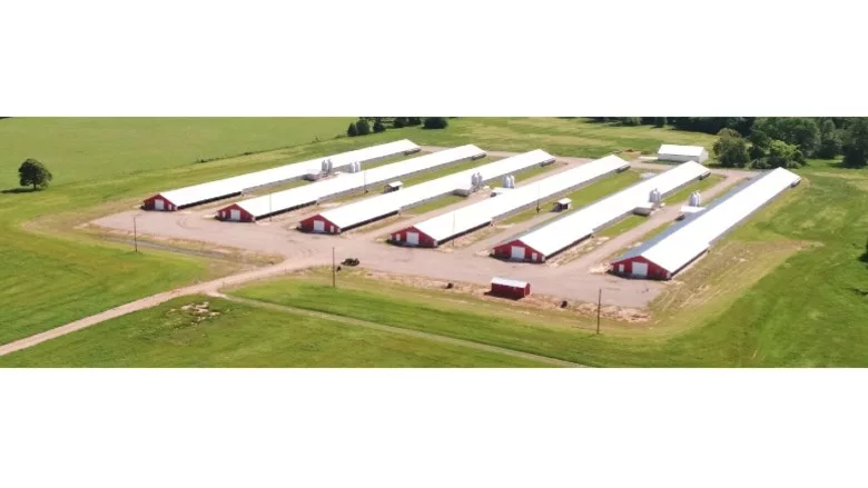 Wayne-Sanderson Farms chicken farm