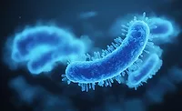 Bacteria medical illustration - 3d rendered microbiology image.