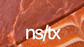 NS/TX Industries Inc. logo