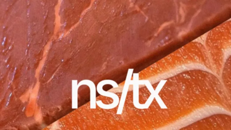 NS/TX Industries Inc. logo