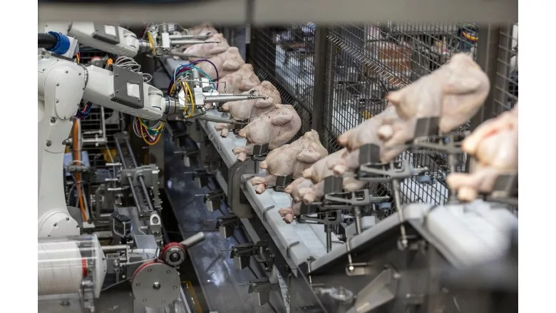 Automated Poultry Trusser