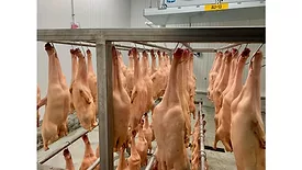 Dry-aged duck