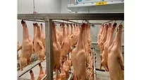 Dry-aged duck