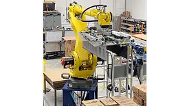 Robotic palletizer