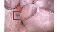 Plastic detected by AI inspection system Plastic detected by AI inspection system