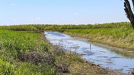 Shallow creek