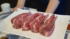 Lamb