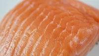 Salmon Salmon