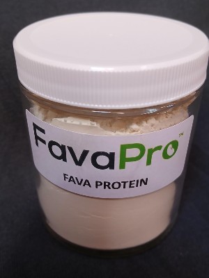 Burcon fava bean protein in a jar
