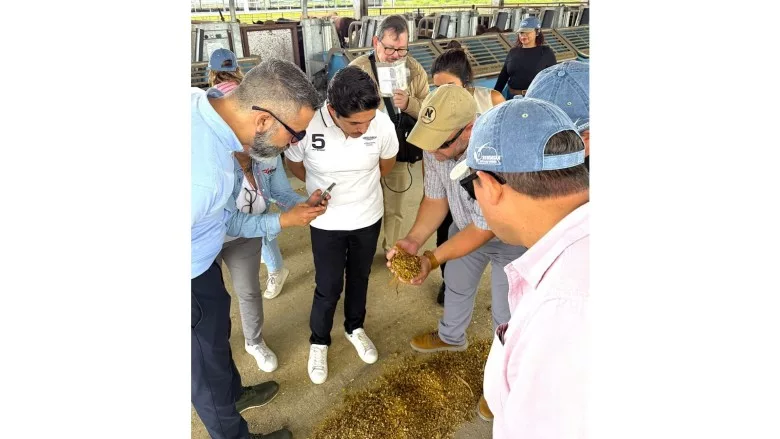 Research feedlot
