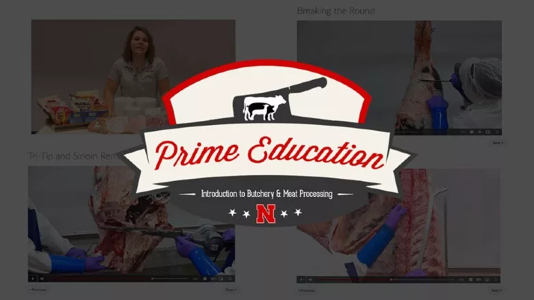 Online curriculum Prime Education: Introduction to Butchery and Meat Processing