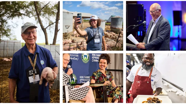 Niman Ranch celebrates the 30th anniversary of its pork company and awards $280,000 to the next generation of family farmers.
