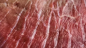 Raw meat