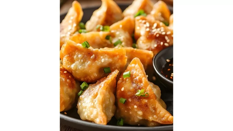 Gourmet Duck Dumplings