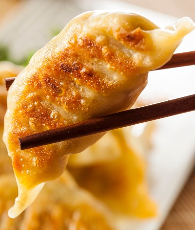 Gourmet Duck Dumplings
