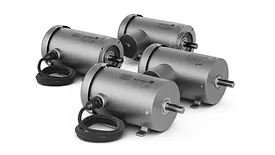 ABB Baldor-Reliance Food Safe Feather Picker motor