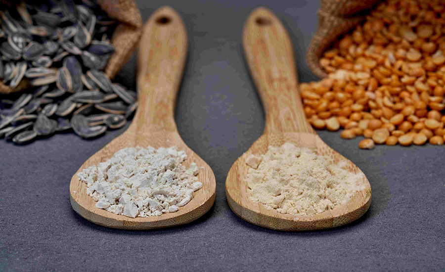 plant-based protein isolates from Burcon NutraScience Corporation