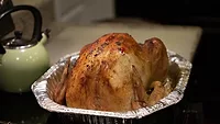 Thanksgiving turkey