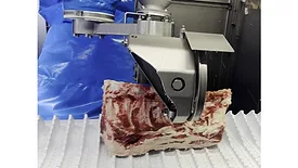 Fortifi Robotic Chine Bone Saw Beef Strip