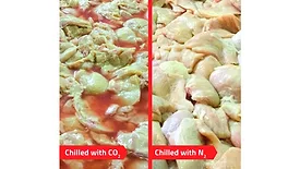 From chilling fresh poultry in combo bins to full freezing, the KwikChiller delivers high production capacity in a compact footprint.