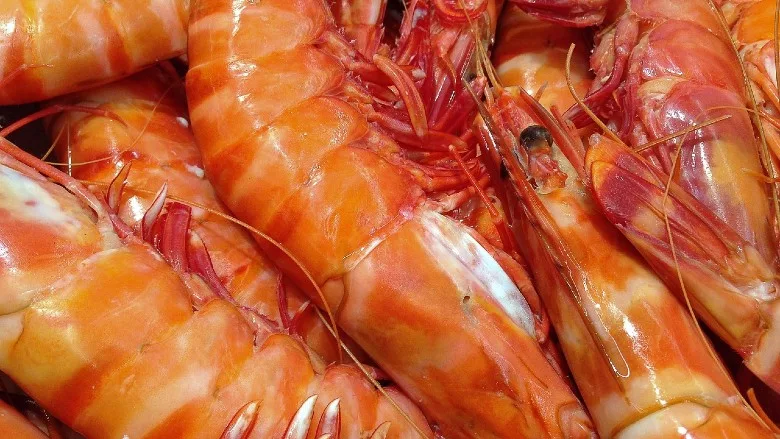Shrimp