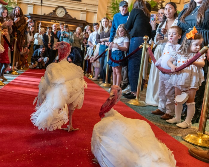 Gobble and Waddle walking the red carpet