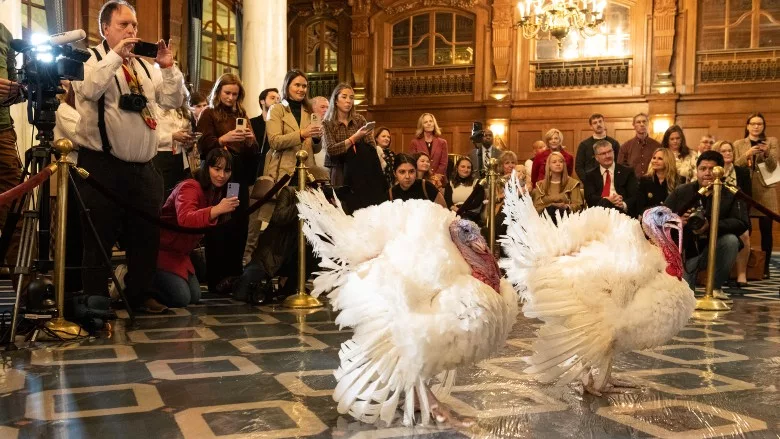 North Carolina turkeys Gobble and Waddle