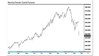 Nearby feeder cattle futures