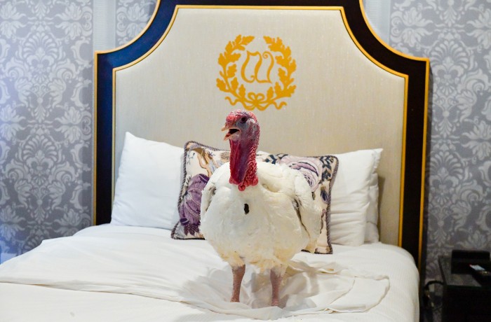 Turkey at the Willard InterContinental Hotel