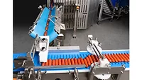 Kestrel