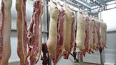 Split pig carcasses