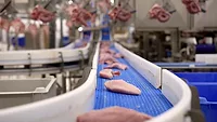 Arista Cyber meat processing Arista Cyber meat processing