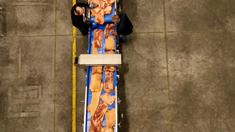 PFI pork belly metal detector