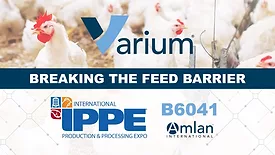 Amlan showcases gut health, feed efficiency in antibiotic-free poultry production at IPPE Amlan showcases gut health, feed efficiency in antibiotic-free poultry production at IPPE