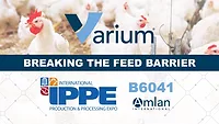 Amlan showcases gut health, feed efficiency in antibiotic-free poultry production at IPPE Amlan showcases gut health, feed efficiency in antibiotic-free poultry production at IPPE