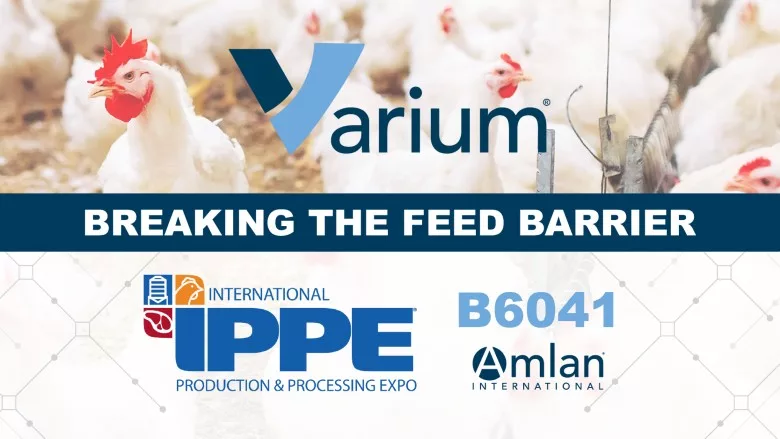 Amlan showcases gut health, feed efficiency in antibiotic-free poultry production at IPPE