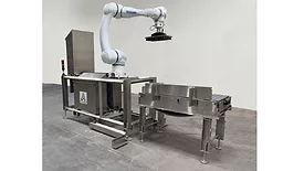 CP-66-WD wash-down collaborative palletizer