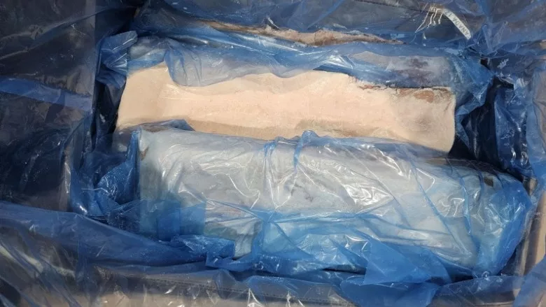 Recalled frozen, raw pork boneless loin